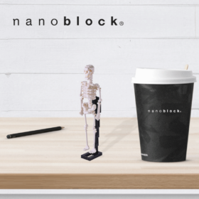 NBM-014 Nanoblock Scheletro umano